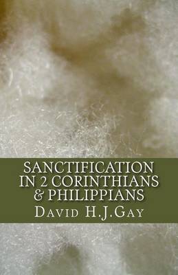 Cover of Sanctification in 2 Corinthians & Philippians