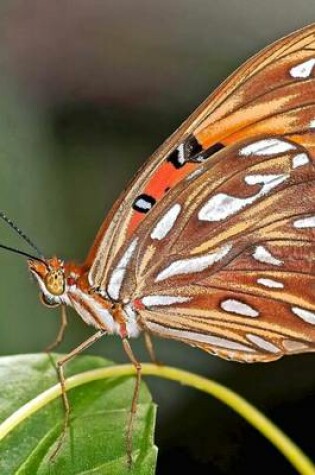 Cover of Gulf Fritillary Butterfly, for the Love of Nature