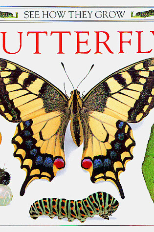 Cover of Butterfly