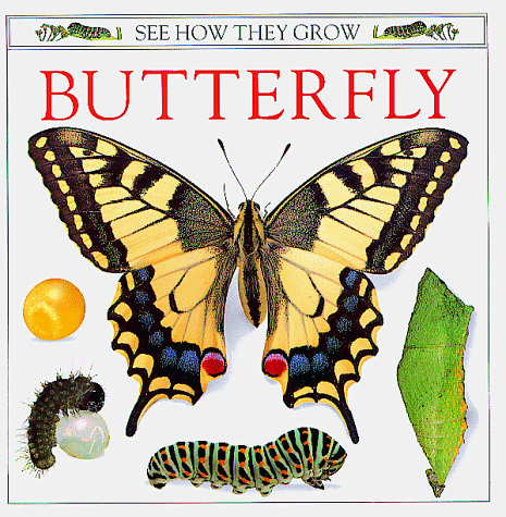 Cover of Butterfly