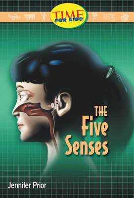 Book cover for The Five Senses