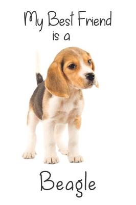 Book cover for My best Friend is a Beagle (Squared Paper)