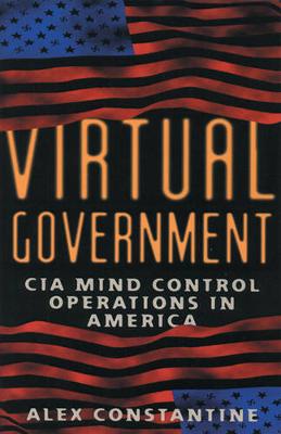 Book cover for Virtual Government