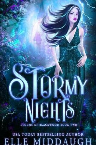 Cover of Stormy Nights