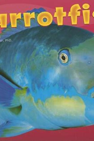 Cover of Parrotfish