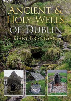 Book cover for Ancient and Holy Wells of Dublin