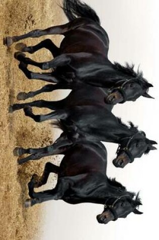 Cover of Three Beautiful Black Horses Galloping Together