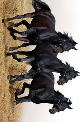 Book cover for Three Beautiful Black Horses Galloping Together