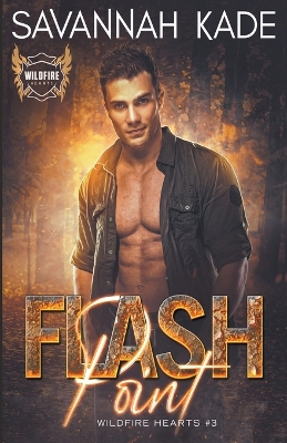 Book cover for Flash Point