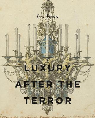 Book cover for Luxury After the Terror