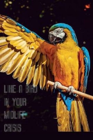 Cover of Like a bird in your Midlife Crisis