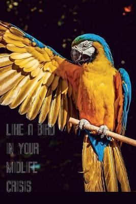 Book cover for Like a bird in your Midlife Crisis