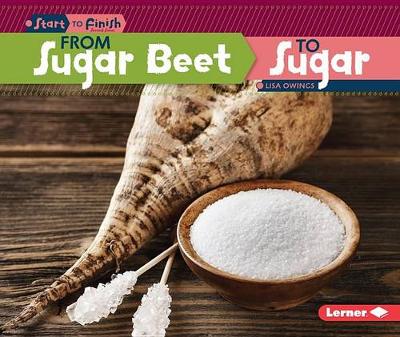 Book cover for From Sugar Beet to Sugar