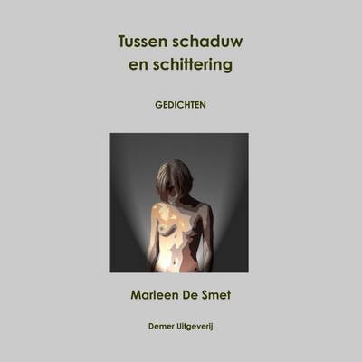 Book cover for Tussen Schaduw En Schittering