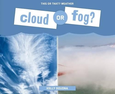 Book cover for Cloud or Fog?