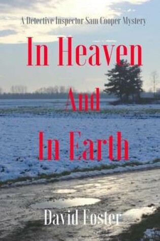 Cover of In Heaven and In Earth