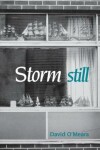 Book cover for Storm Still