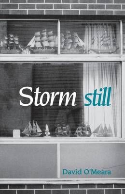 Cover of Storm Still