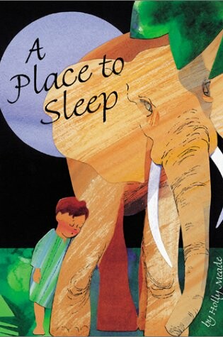 Cover of A Place to Sleep