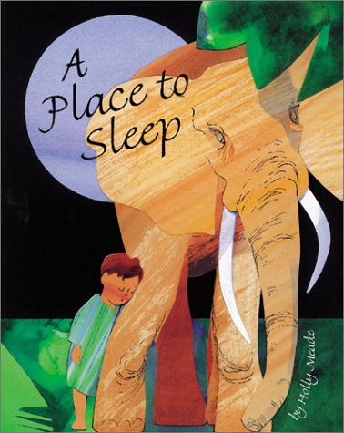 Book cover for A Place to Sleep