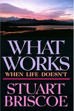 Cover of What Works When Life Doesn't