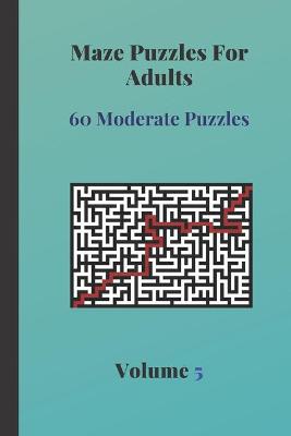 Book cover for Maze Puzzles For Adults 60 Moderate Puzzles Volume 5