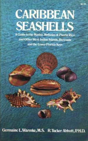 Book cover for Caribbean Seashells