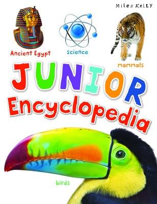 Book cover for A192 Junior Encyclopedia