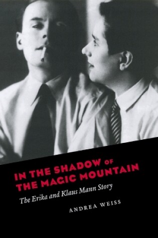 Cover of In the Shadow of the Magic Mountain