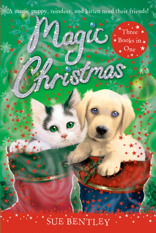 Book cover for Magic Christmas
