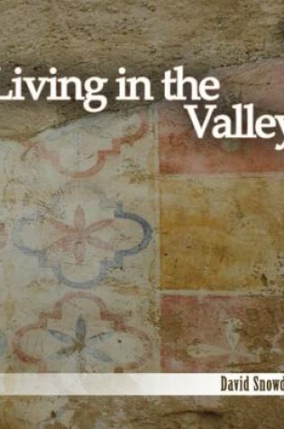 Cover of Living In the Valley