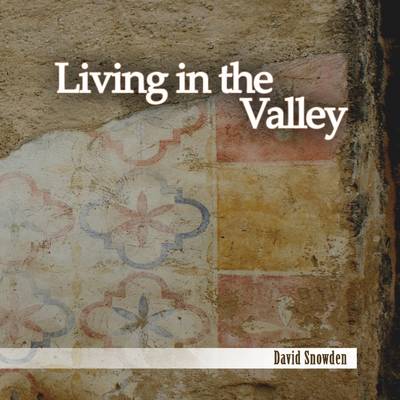 Book cover for Living In the Valley