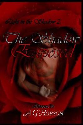 Book cover for Light in the Shadow 2
