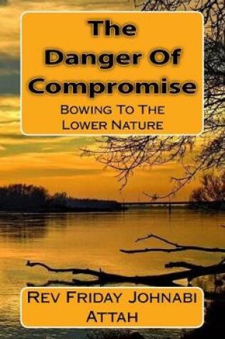 Cover of The Danger Of Compromise