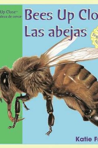 Cover of Bees Up Close / Las Abejas