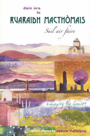 Cover of Suil air Faire