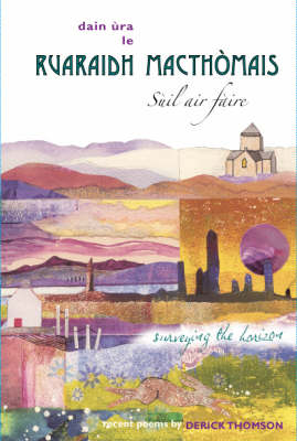 Book cover for Suil air Faire