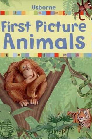 Cover of First Picture Animals