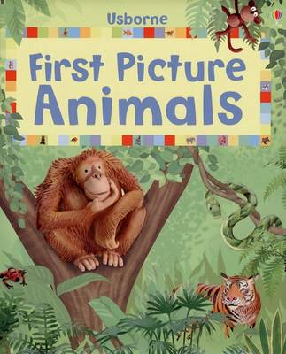 Book cover for First Picture Animals