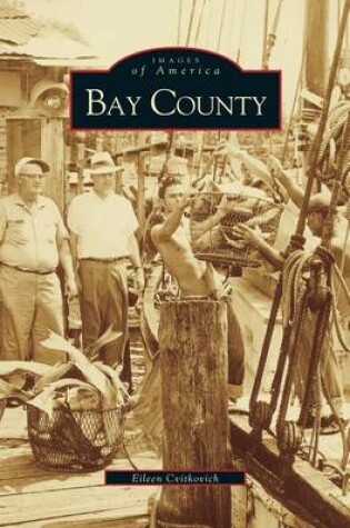 Cover of Bay County