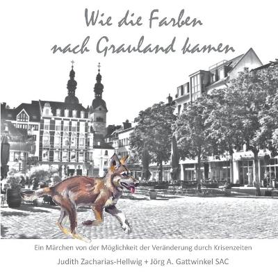 Book cover for Wie die Farben nach Grauland kamen