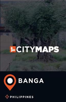 Book cover for City Maps Banga Philippines