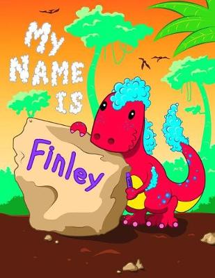 Book cover for My Name is Finley