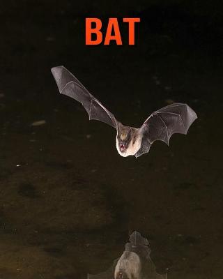 Book cover for Bat