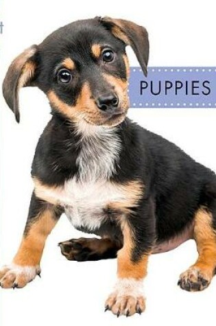 Cover of Puppies