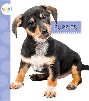 Book cover for Puppies