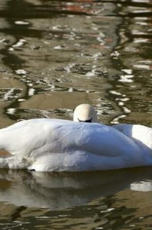 Cover of Sleeping Swan on the Water Journal