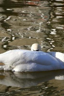 Book cover for Sleeping Swan on the Water Journal