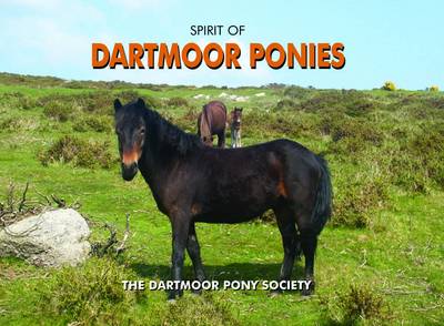 Book cover for Spirit of Dartmoor Ponies