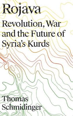 Book cover for Rojava